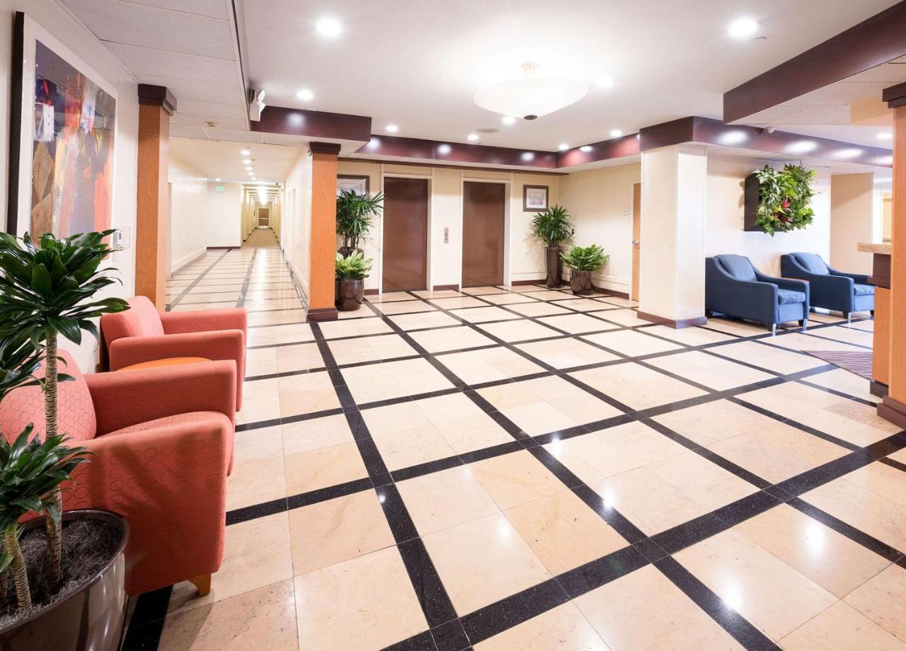 Comfort Inn & Suites Oakland Airport Exterior foto